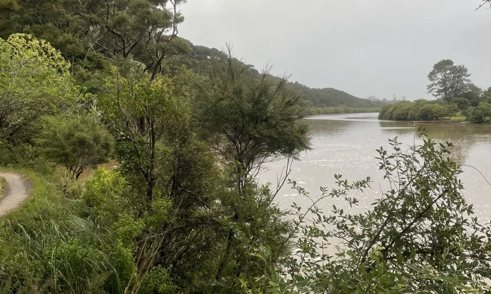 Haruru Falls Trek , Northland