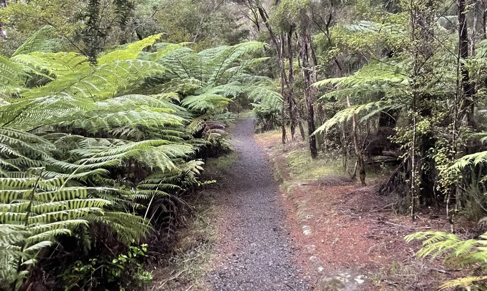 Haruru Falls Trek , Northland