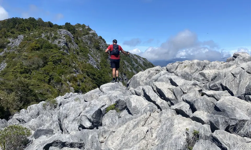 Harwoods Gold, Tasman