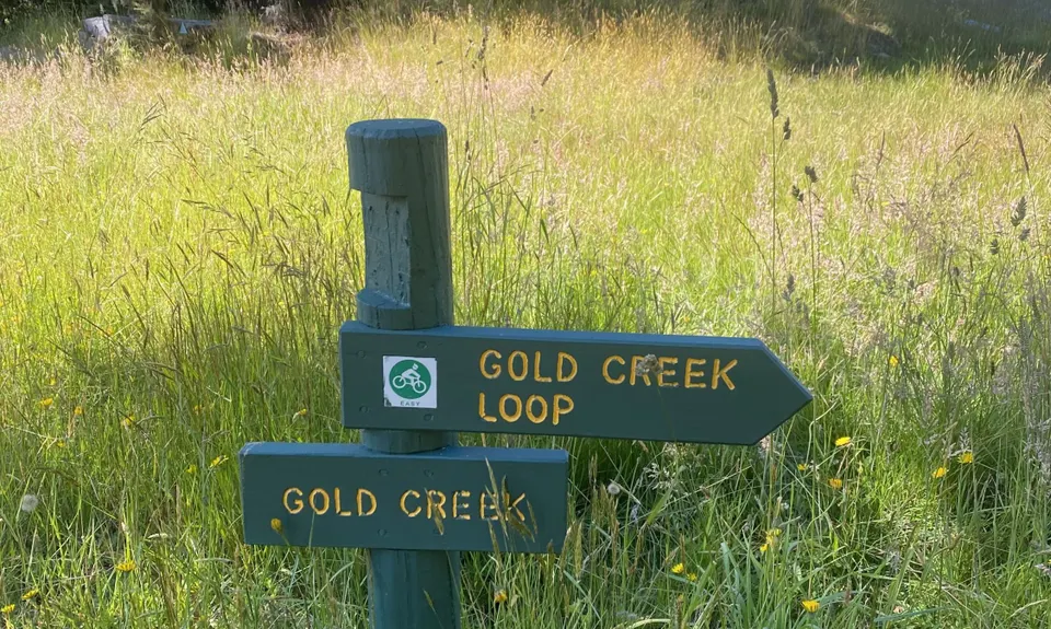 Harwoods Gold, Tasman