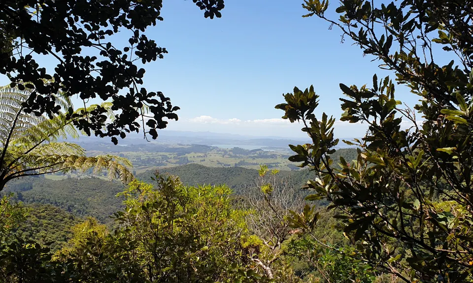 Hauturu High Point - West, Northland