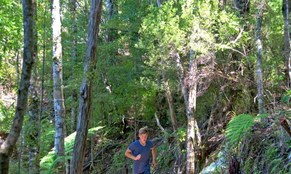 Whakaumu Track, Bay of Plenty