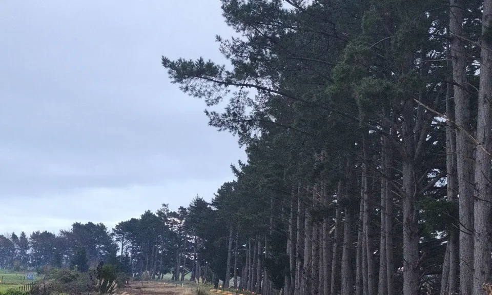 He Ara Kotahi - Bridge to Linton , Manawatu - Wanganui