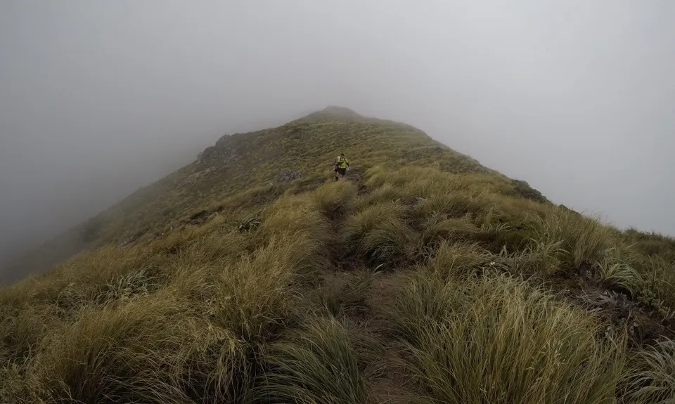 Jumbo - Holdsworth Circuit, Wellington