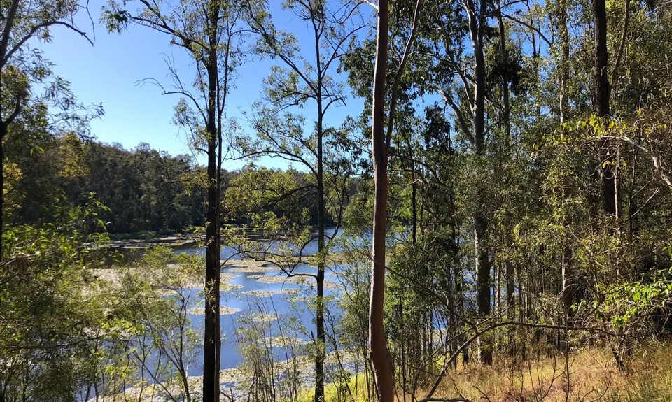 Hell Hole-y Moley!, Queensland