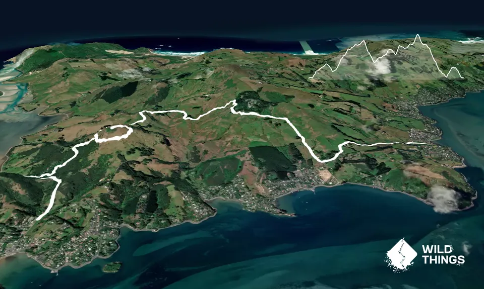 Hereweka Traverse, Otago