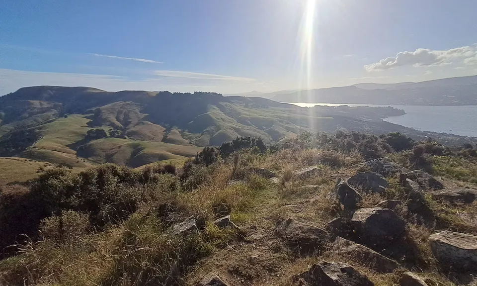 Hereweka Traverse, Otago