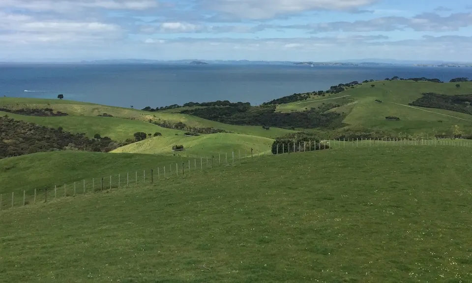 Shakespeare Taster, Auckland