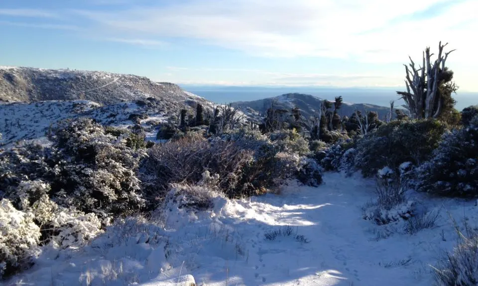 Mt Fitzgerald & Mt Sinclair , Canterbury