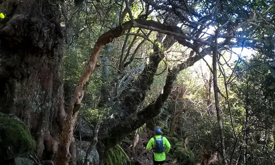 Banks Peninsula Ultra Beer Run, Canterbury