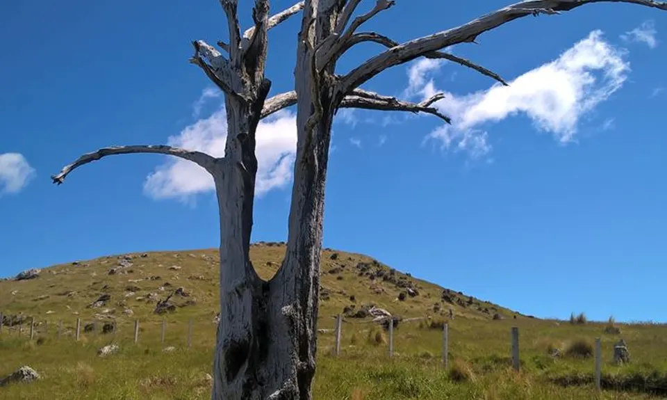 Banks Peninsula Ultra Beer Run, Canterbury