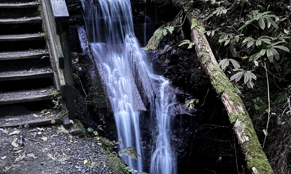 Hilly Hakarimata Loop, Waikato