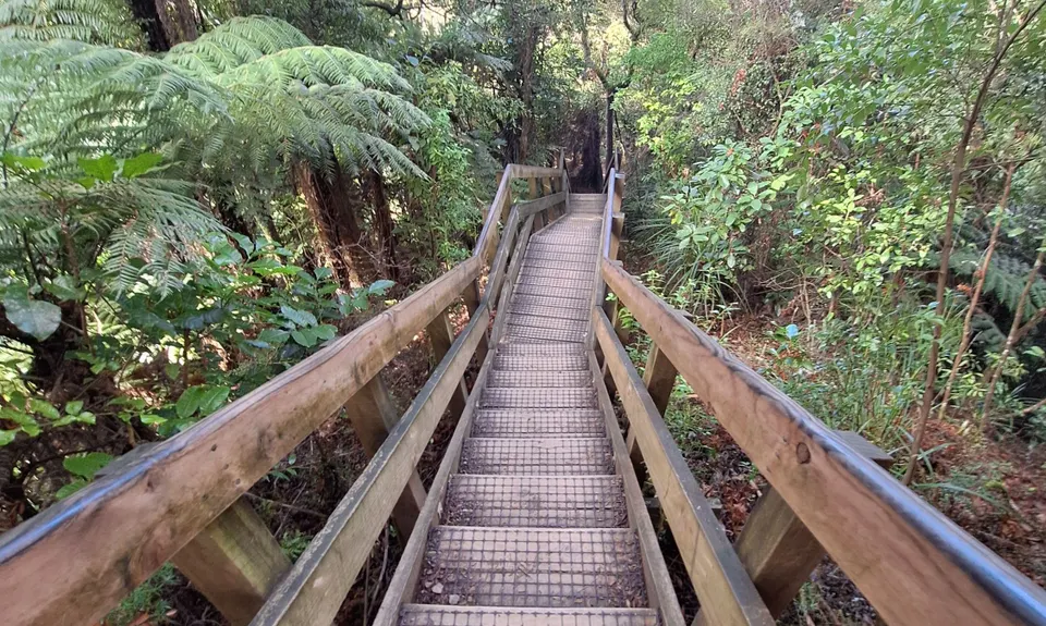 Hilly Hakarimata Loop, Waikato