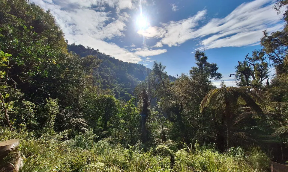 Hilly Hakarimata Loop, Waikato