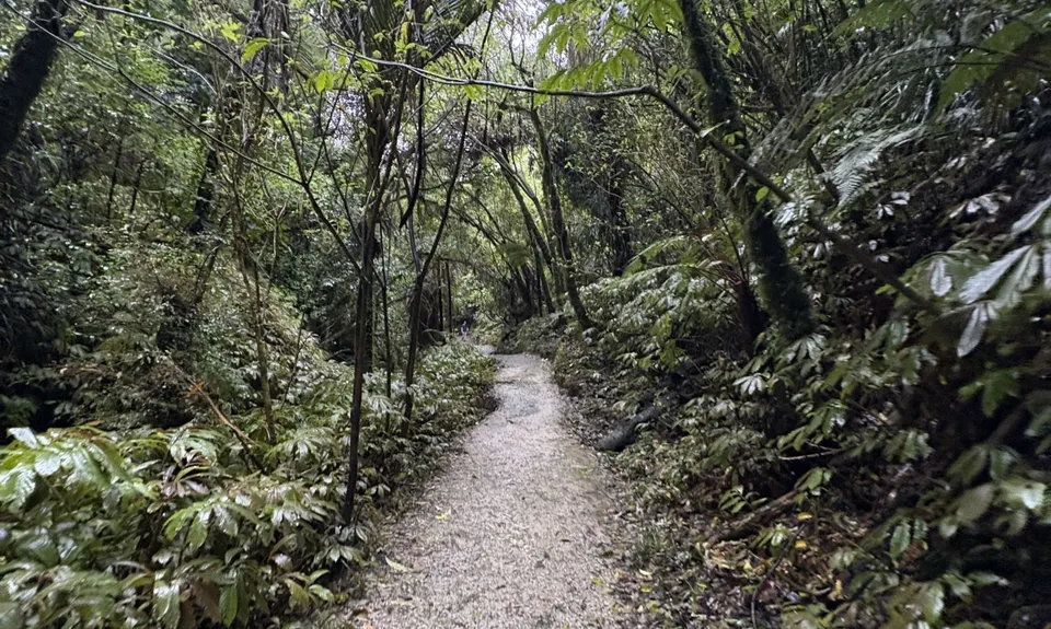 Hilly Hakarimata, Waikato