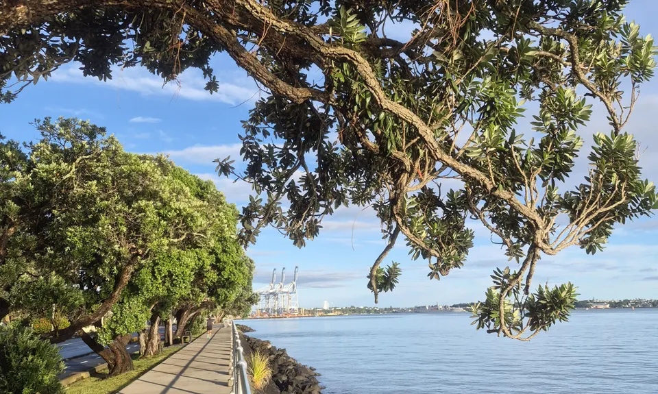 Hobson Bay Loopity, Auckland