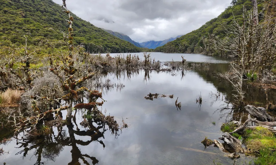 Hollyford Road - Routeburn Loop via Deadmans and Pass Creek, Southland