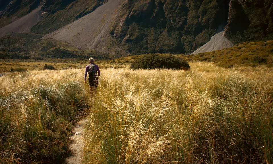 Hooker Hut, Canterbury