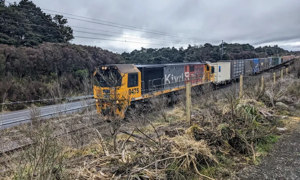 Horopito - Pokaka, Manawatu - Wanganui