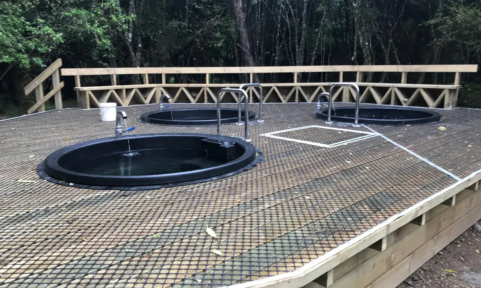 Kaweka Run and Soak, Hawkes Bay
