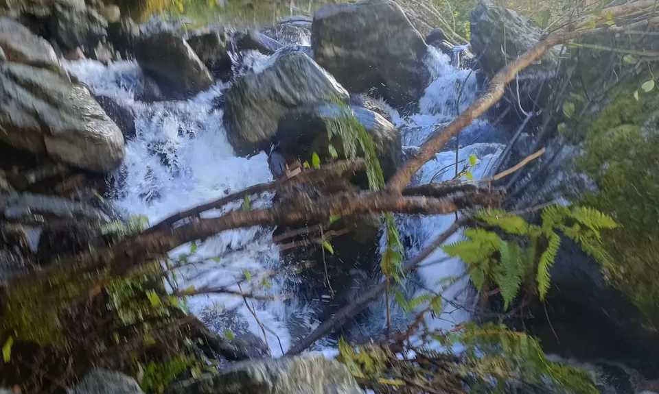 Hot Springing to Cedar Flats, West Coast