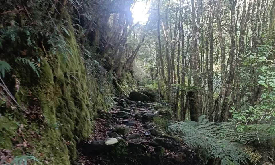 Hot Springing to Cedar Flats, West Coast
