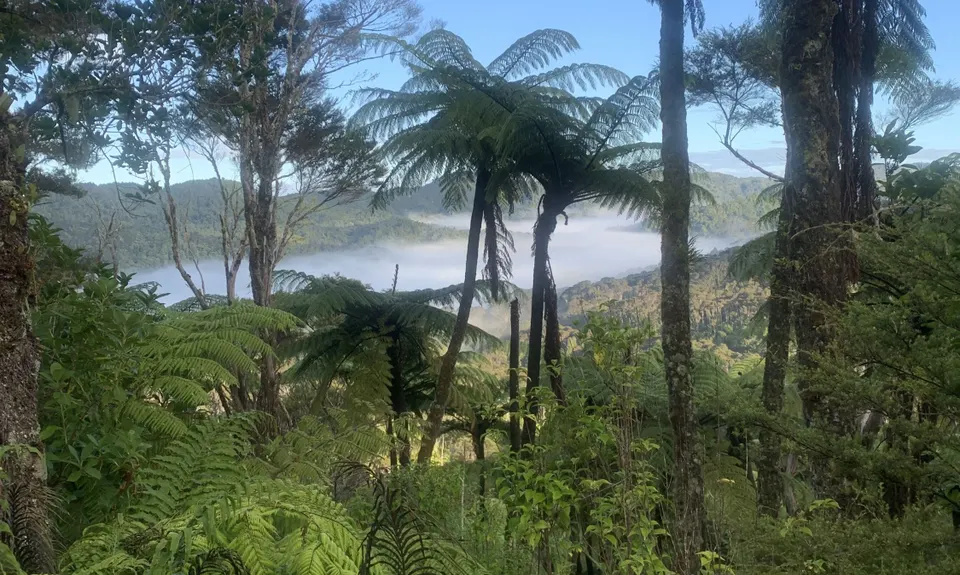 Hunua Hillbilly Marathon, Auckland