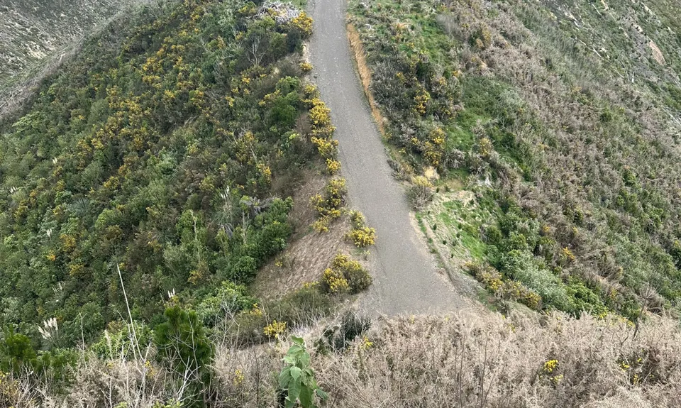 Orum Road/Te Araroa loop, Auckland