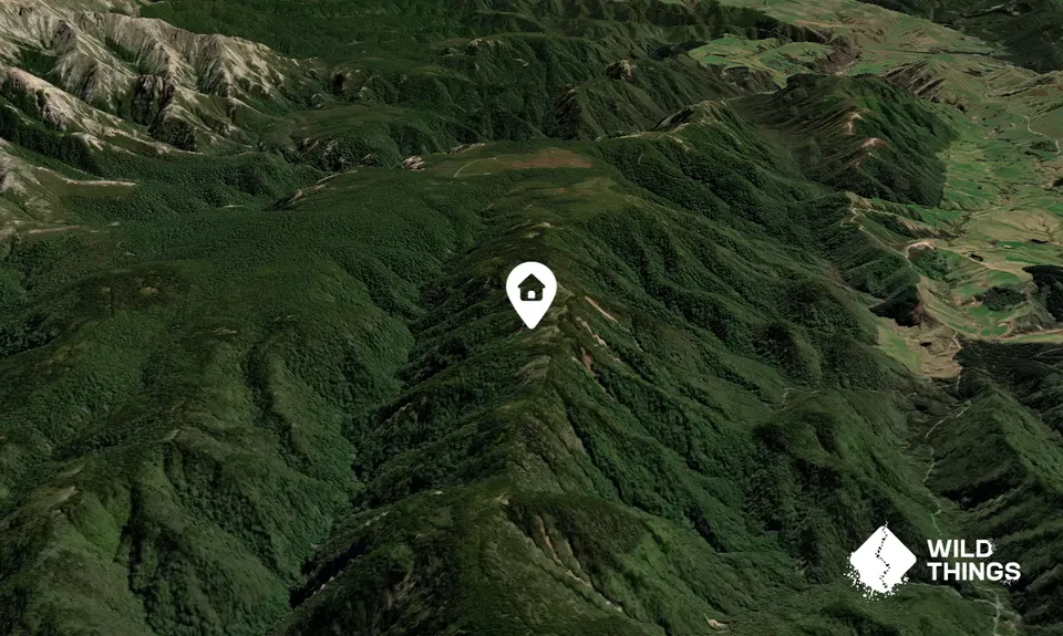 Black Birch Bivouac