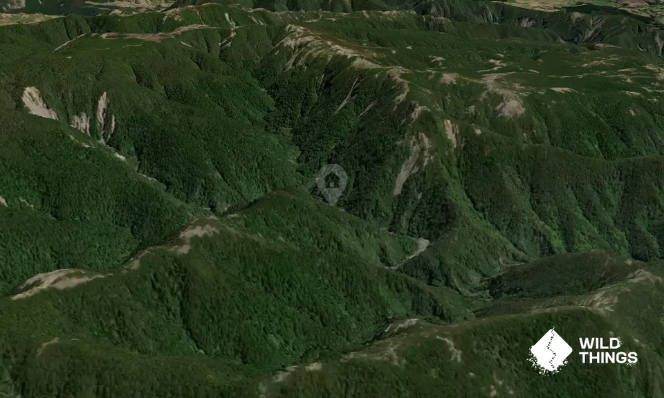 Dead Dog Hut