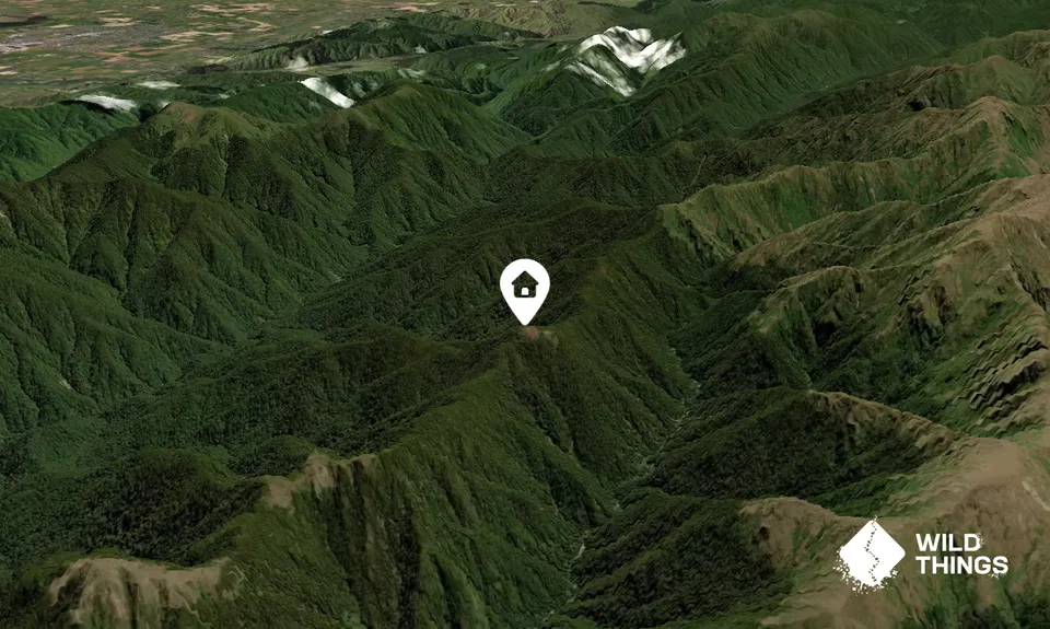 Dracophyllum Hut