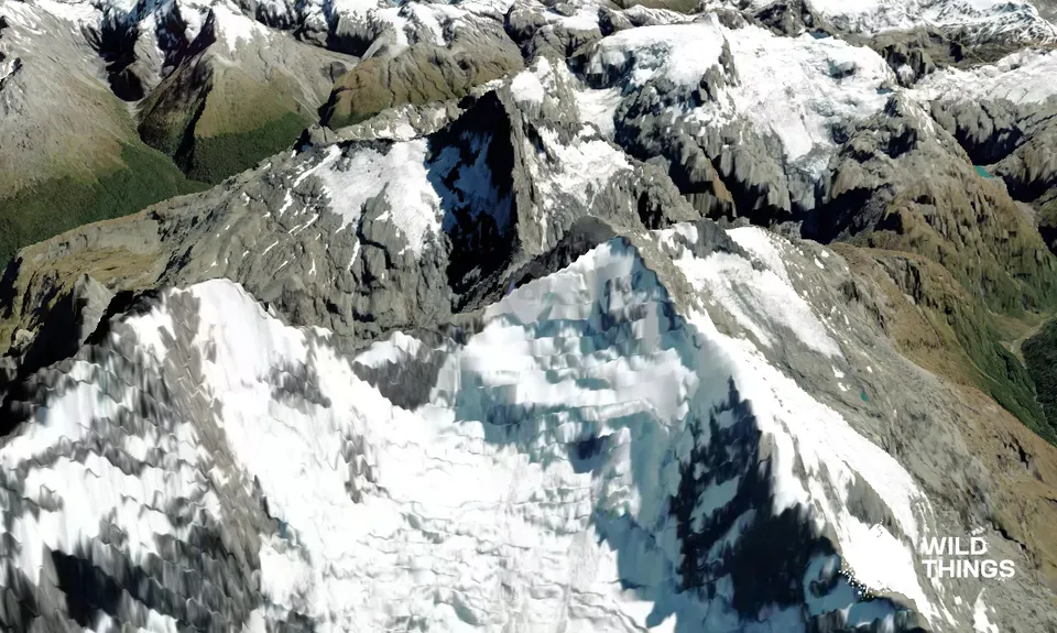 Esquilant Bivvy Hut