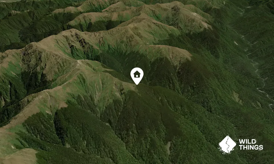 Jumbo Hut