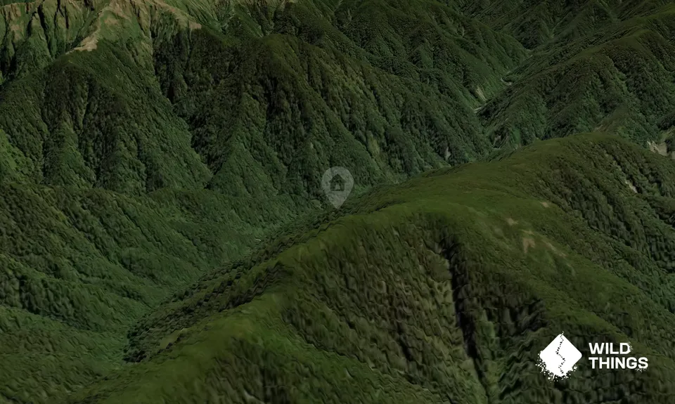 Neill Forks Hut
