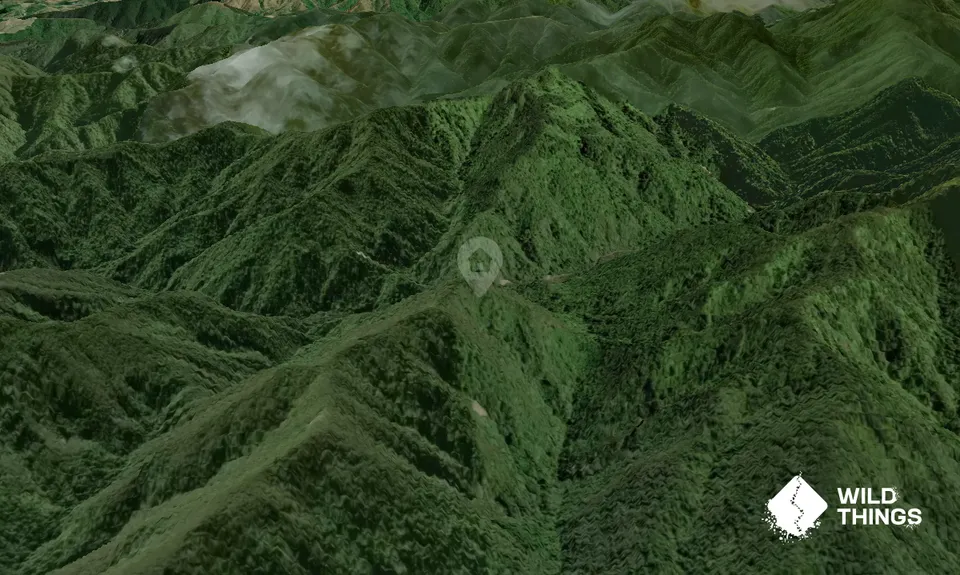 Pararaki Hut