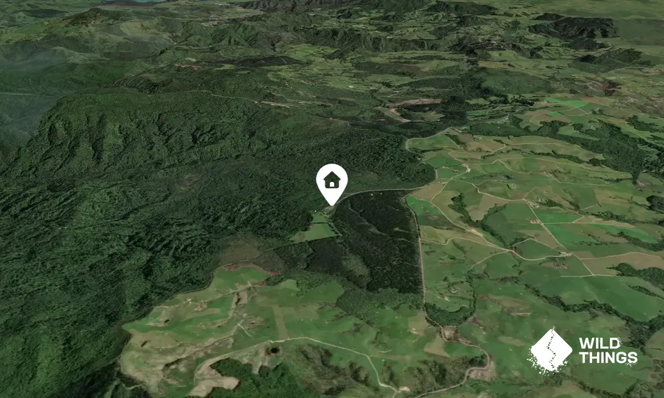 Puketī Forest Hut