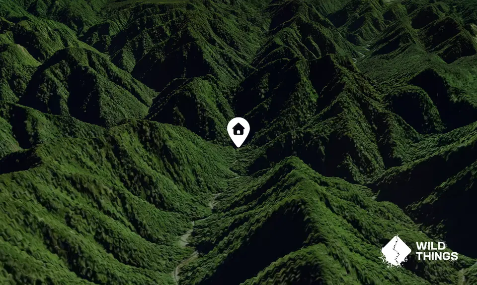 Tawa Hut