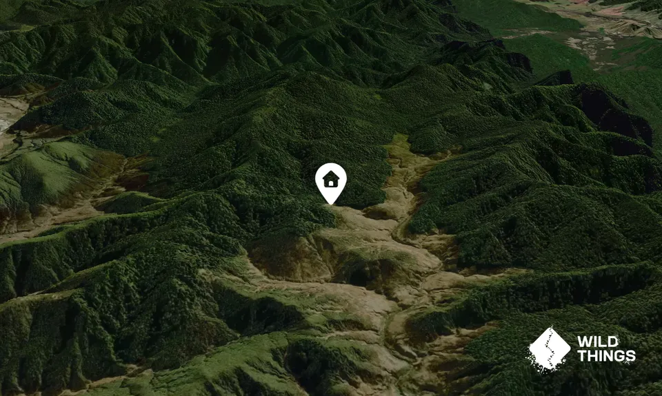 Tussock Hut