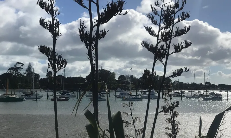 Partial Lunacy Mission, Auckland