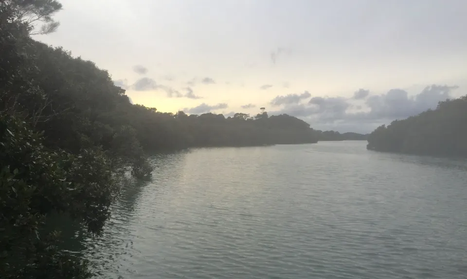 Haruru Falls Trek , Northland
