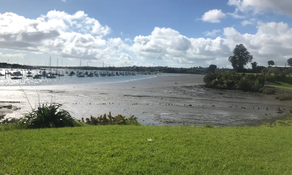 Partial Lunacy Mission, Auckland