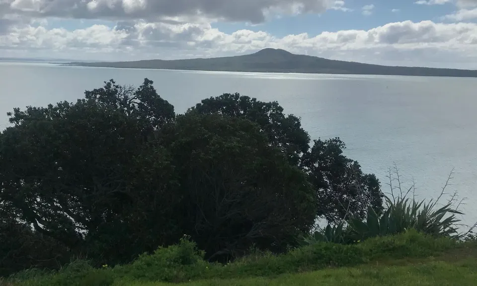 Partial Lunacy Mission, Auckland