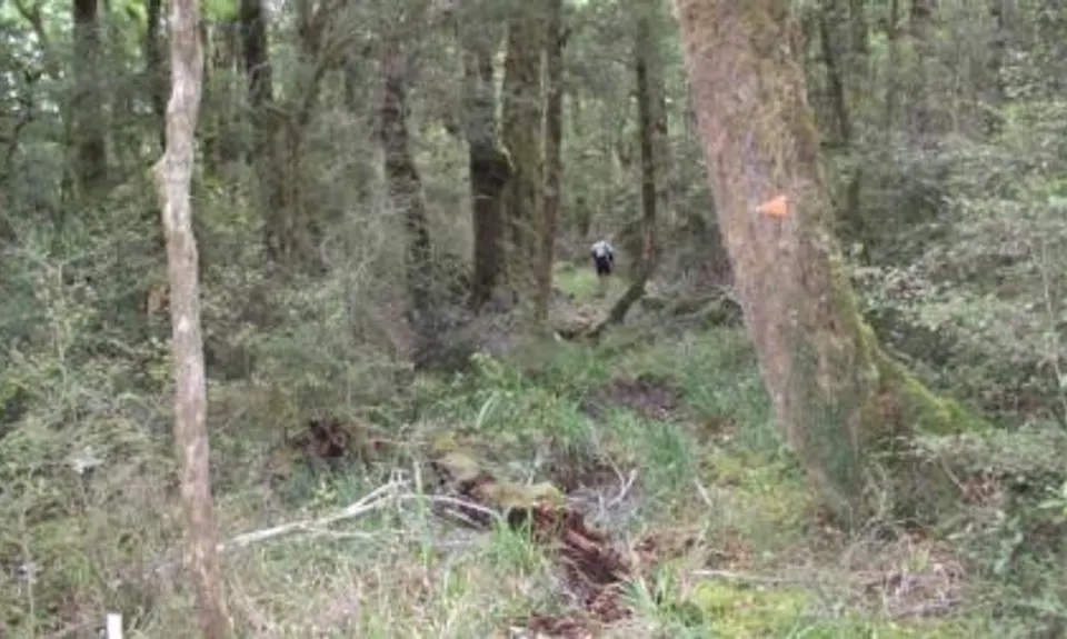 Leslie Karamea Wangapeka Ultra, Tasman