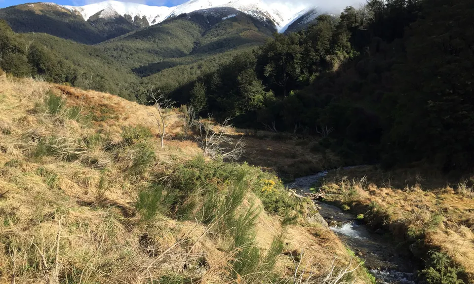Benmore Hut to the bushline, Canterbury