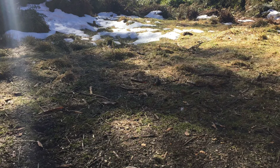 Benmore Hut to the bushline, Canterbury