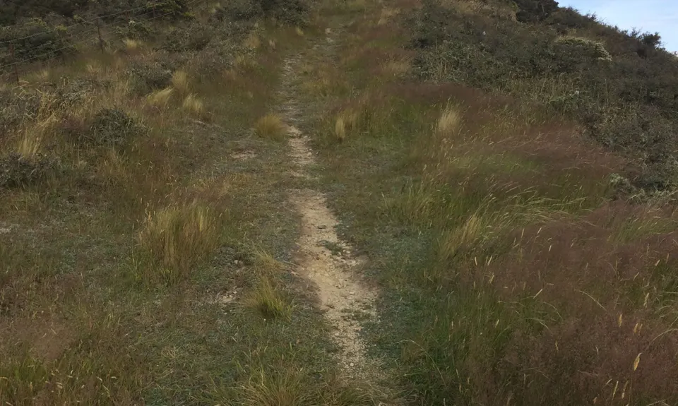 Korowai-Torlesse Roller Coaster, Canterbury