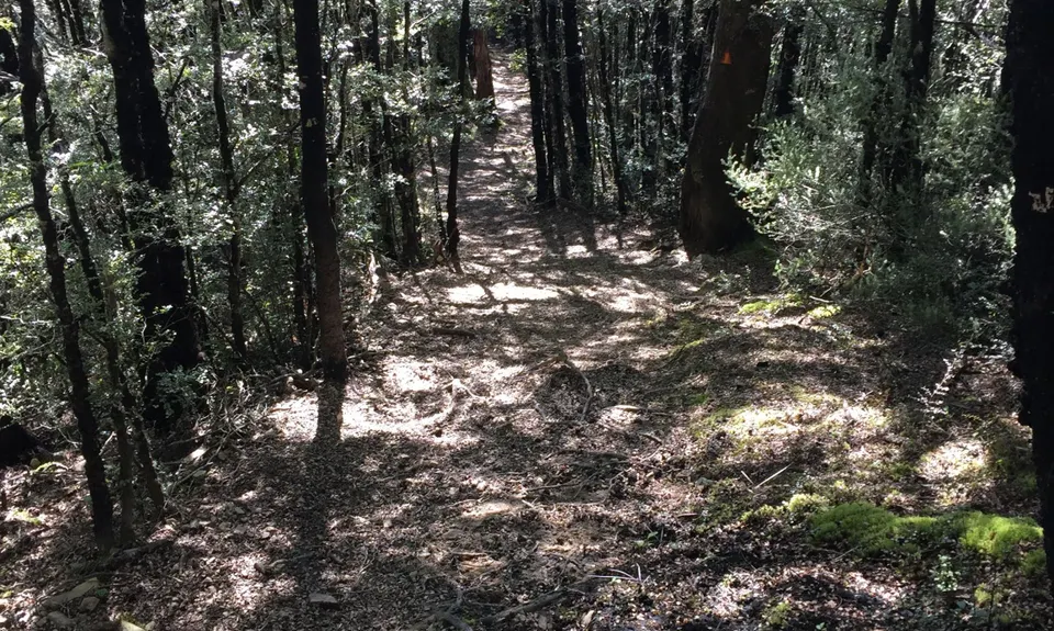 Benmore Hut to the bushline, Canterbury