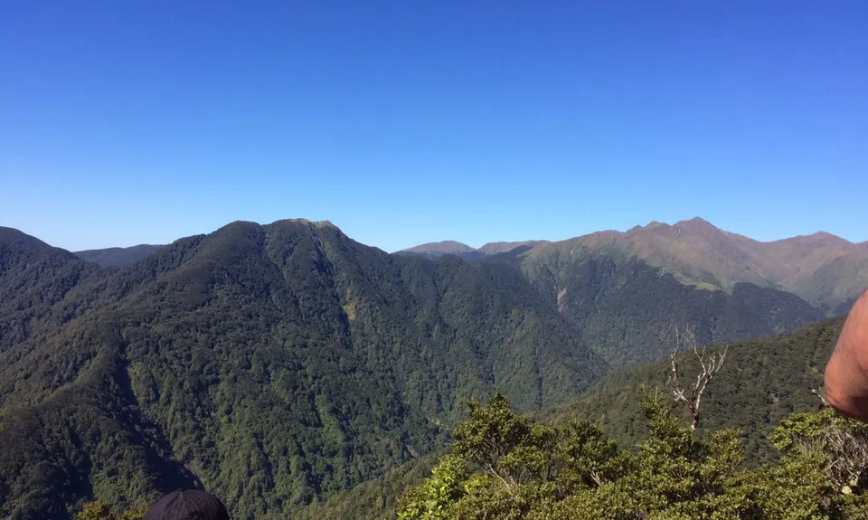Eastern Main Range, Wellington