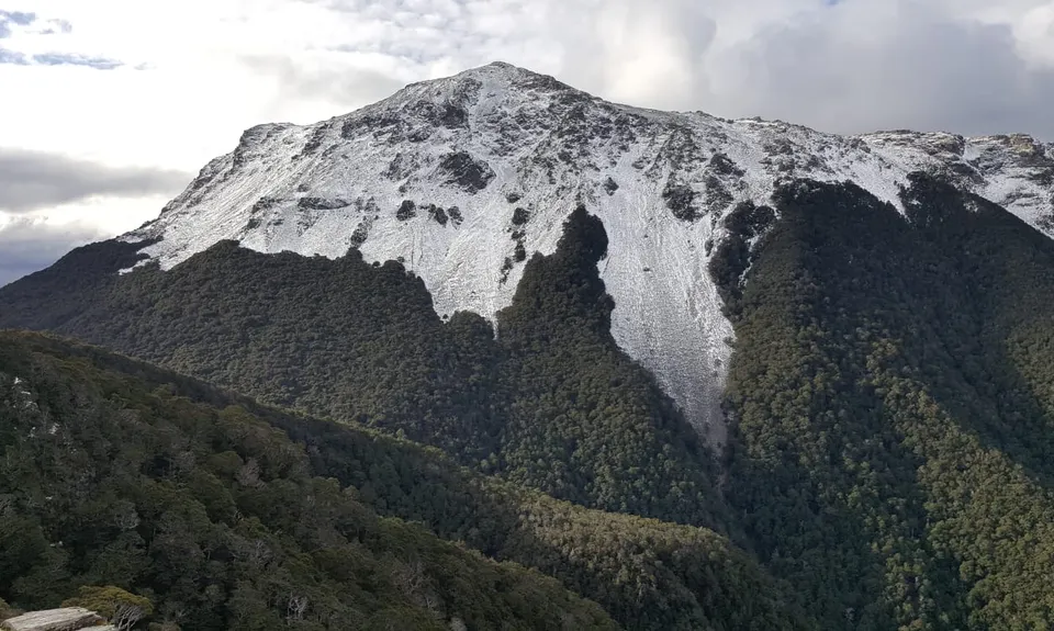 Quest for Mt Richmond, Marlborough