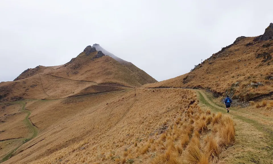 Mt Nimrod Easement Track, Canterbury